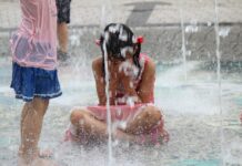 여름 폭염, 더 이상 예외 없다.. 대책도 ‘역대급’ 준비 필요