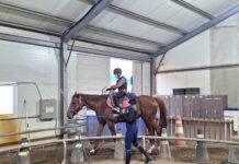 안산시, 학생승마체험 지원사업 시행… 청소년 정서·체력 향상 기대