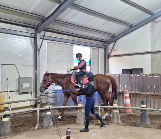 안산시, 학생승마체험 지원사업 시행… 청소년 정서·체력 향상 기대