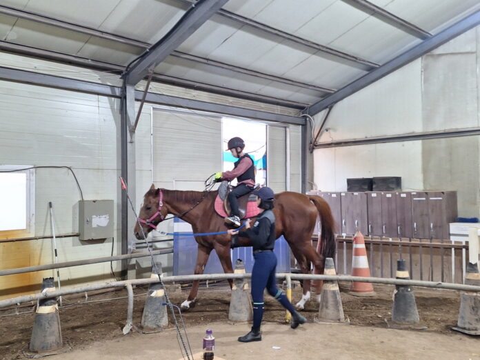 1770687176958ZCGD2SWVUOTQCHCZZ9JM68OSA