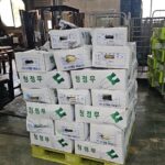 안산시농수산물도매시장, 반월농산 무 760kg 기탁으로 이웃사랑 실천