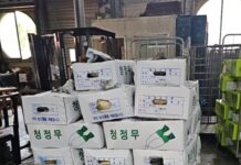 안산시농수산물도매시장, 반월농산 무 760kg 기탁으로 이웃사랑 실천